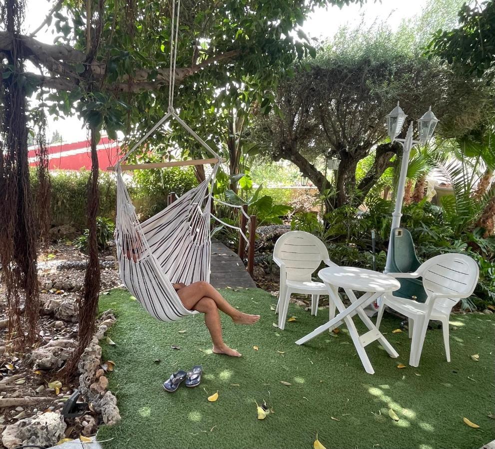 Habitacion Agregada, Suite Frente A La Piscina 2 P Habitacion No Casa Completa San Vicente Raspeig Buitenkant foto